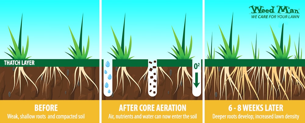 how core aeration works